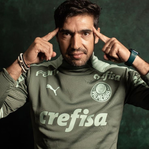 Palmeiras: Entre a eficiência e a necessidade de evolução